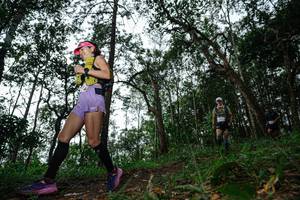 BIB: 
                            <button type="button" onclick="openModal(22560504)" class="btn btn-primary btn-sm float-right btn-popup" data-toggle="modal" data-target=".modal-high-quality">
                        <i class="fas fa-shopping-cart"></i> Add to Cart
                    </button>
                                            <button type="button" onclick="isThisMe(22560504, true)" class="btn btn-success btn-sm float-right btn-popup btn-isme hidden" data-toggle="tooltip" data-placement="bottom" title="นี่คือรูปของคุณใช่ไหม คลิกที่นี่เพื่อเอาเข้าอัลบั้ม">
                        <i class="fas fa-plus"></i> Add to album
                    </button>
                    <button type="button" onclick="isThisMe(22560504, false)" class="btn btn-warning btn-sm float-right btn-popup btn-isnotme hidden">
                        <i class="fas fa-ban"></i> Remove from album
                    </button>